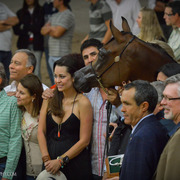 2013 Arabian Breeders World Cup Candid Shots