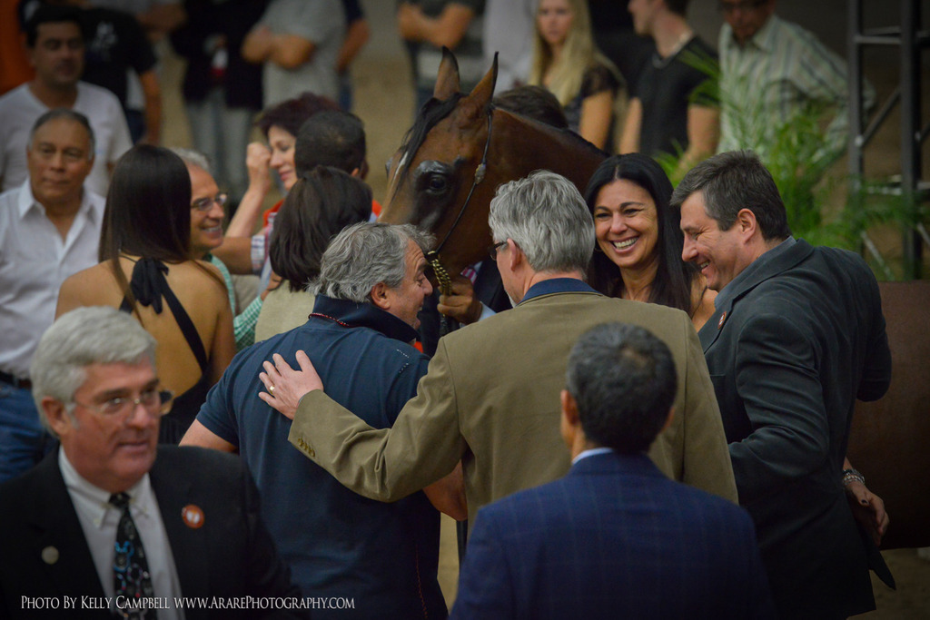 2013 Arabian Breeders World Cup Candid Shots