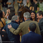 2013 Arabian Breeders World Cup Candid Shots