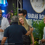 2013 Arabian Breeders World Cup Candid Shots