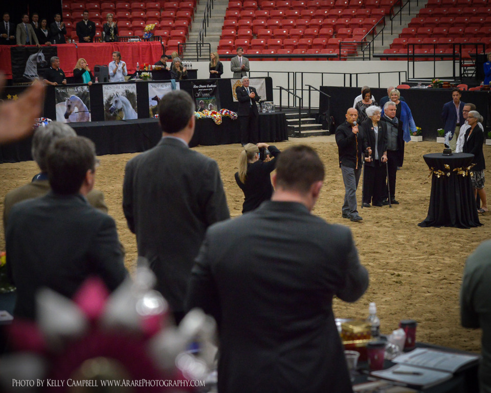 2013 Arabian Breeders World Cup Candid Shots