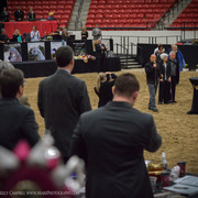 2013 Arabian Breeders World Cup Candid Shots