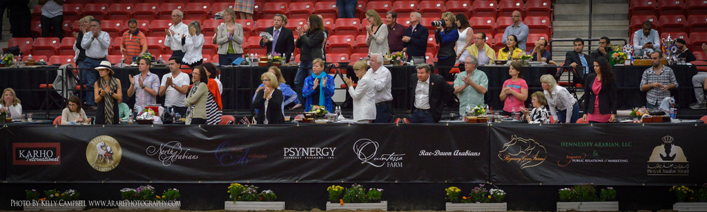 2013 Arabian Breeders World Cup Candid Shots