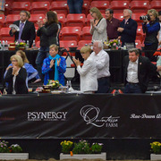 2013 Arabian Breeders World Cup Candid Shots