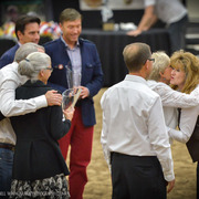 2013 Arabian Breeders World Cup Candid Shots