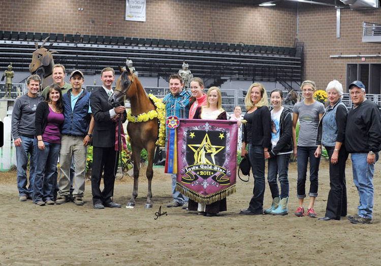 Iowa Gold Star Futurity 