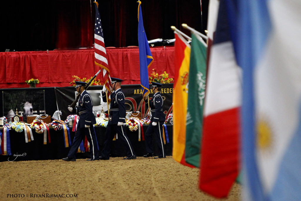 2013 Arabian Breeders World Cup Candid Shots