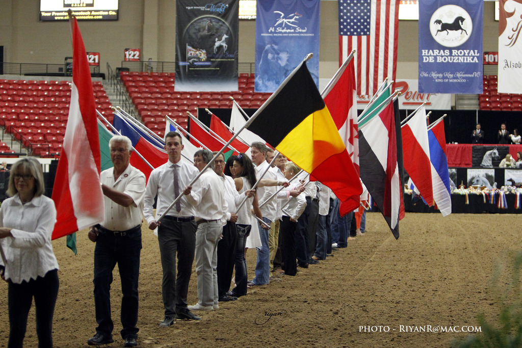 2013 Arabian Breeders World Cup Candid Shots