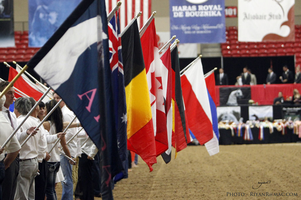 2013 Arabian Breeders World Cup Candid Shots