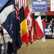 2013 Arabian Breeders World Cup Candid Shots