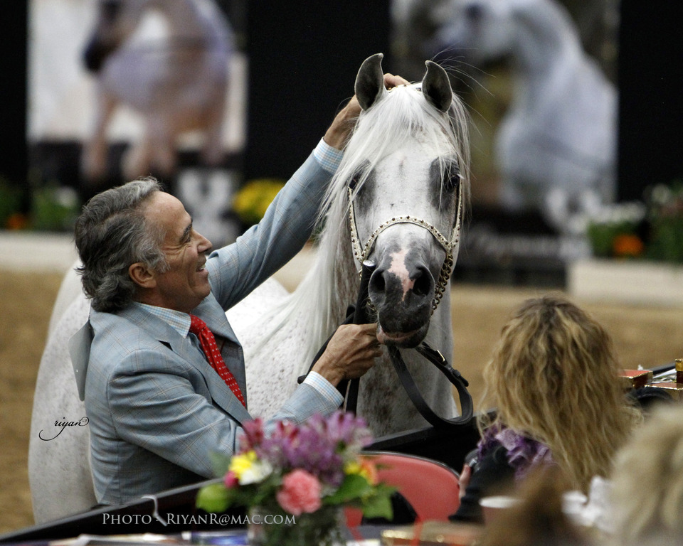 2013 Arabian Breeders World Cup Candid Shots