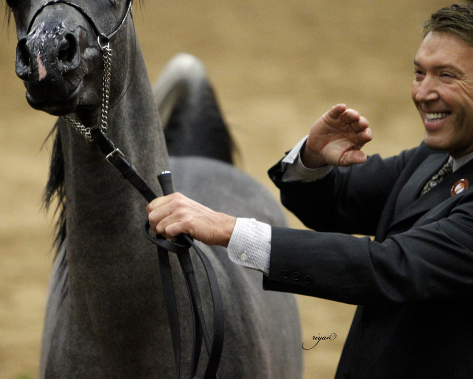 2013 Arabian Breeders World Cup Candid Shots