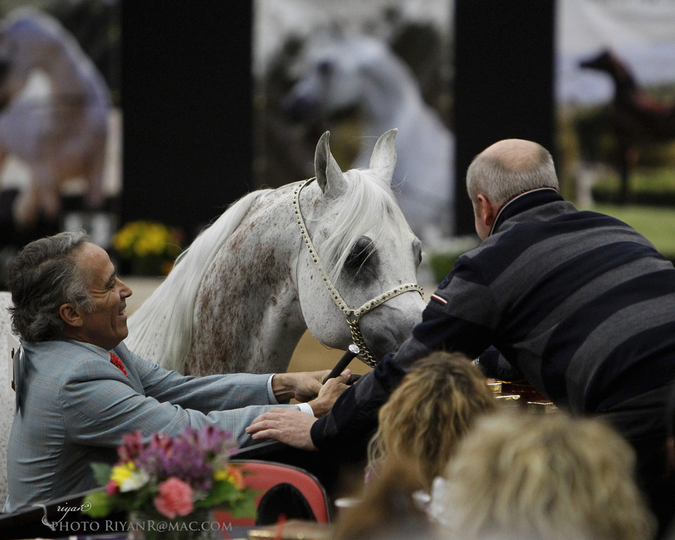 2013 Arabian Breeders World Cup Candid Shots