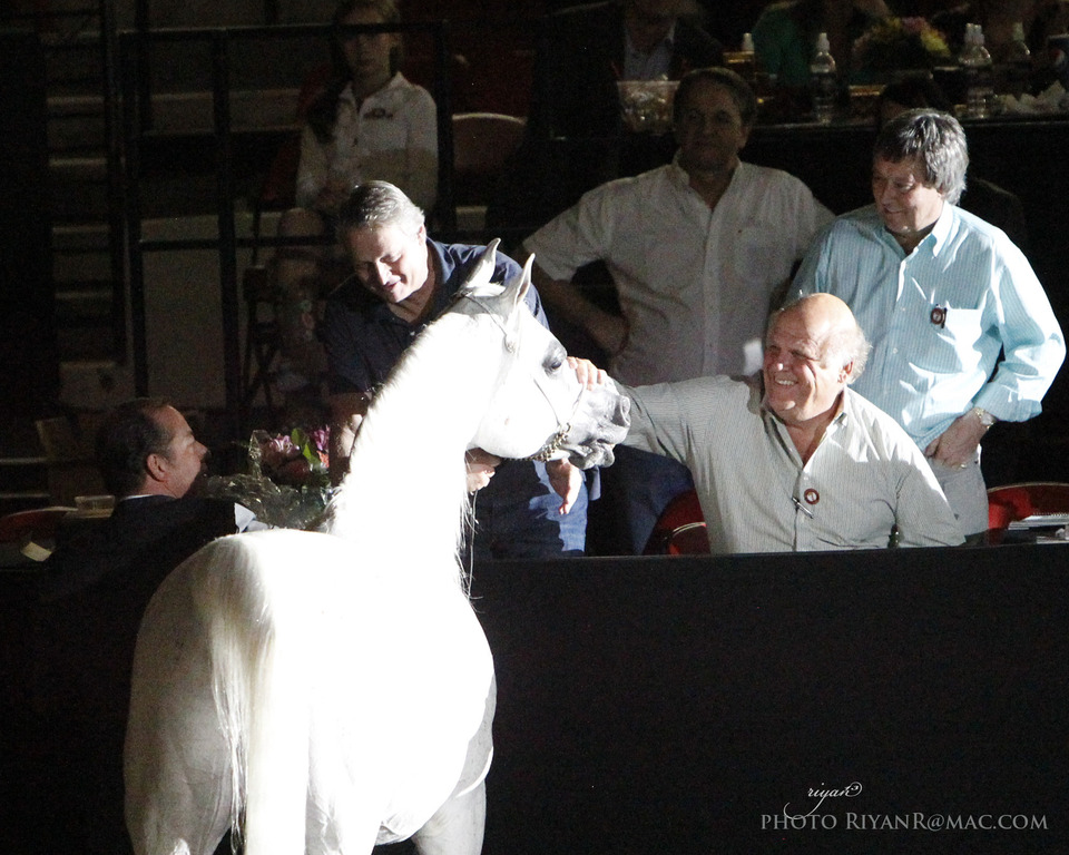 2013 Arabian Breeders World Cup Candid Shots