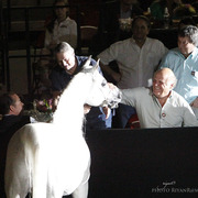 2013 Arabian Breeders World Cup Candid Shots