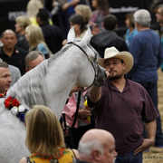 2013 Arabian Breeders World Cup Candid Shots