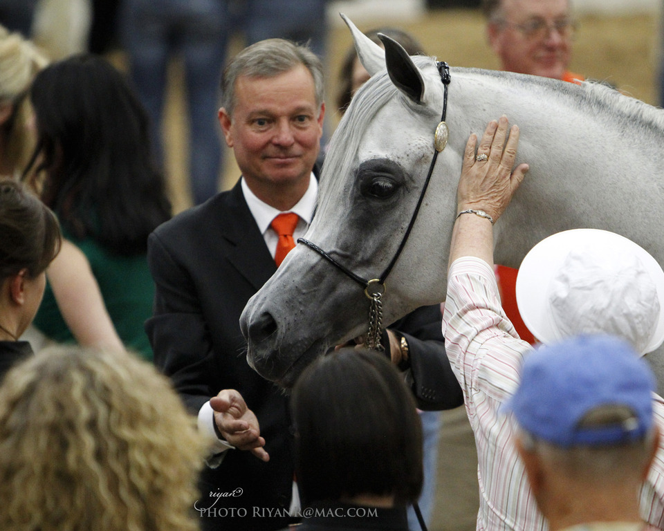 2013 Arabian Breeders World Cup Candid Shots