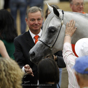 2013 Arabian Breeders World Cup Candid Shots