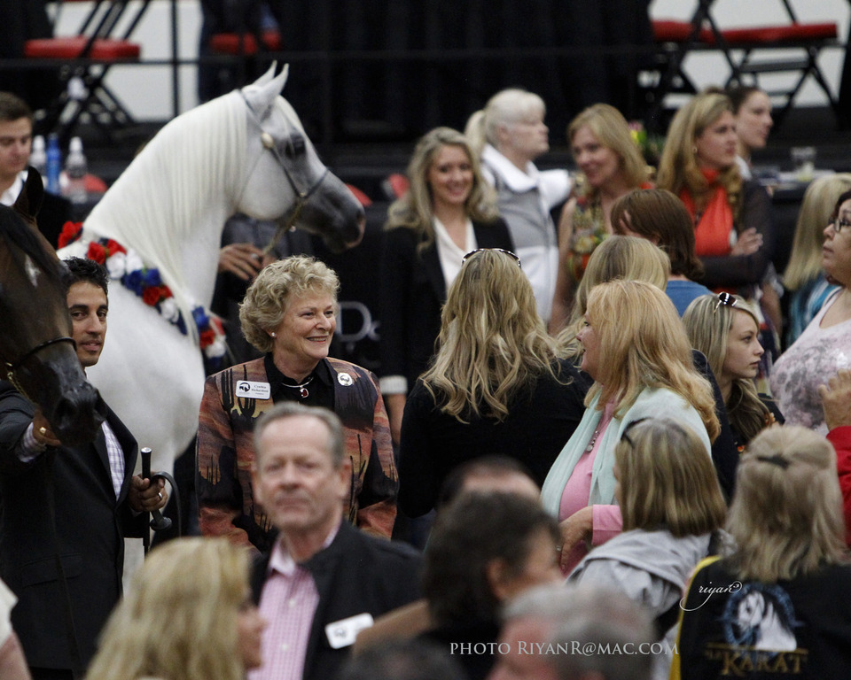 2013 Arabian Breeders World Cup Candid Shots