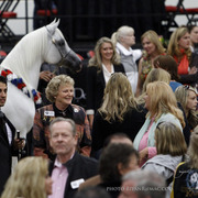 2013 Arabian Breeders World Cup Candid Shots