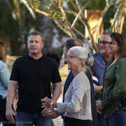 2013 Arabian Breeders World Cup Candid Shots