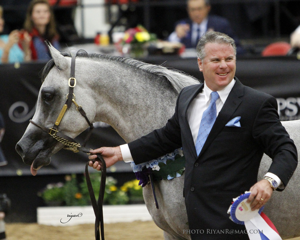 2013 Arabian Breeders World Cup Candid Shots