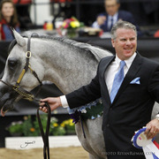 2013 Arabian Breeders World Cup Candid Shots