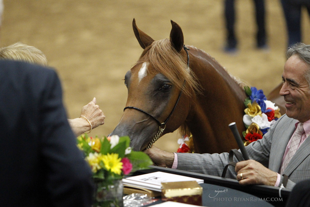 2013 Arabian Breeders World Cup Candid Shots