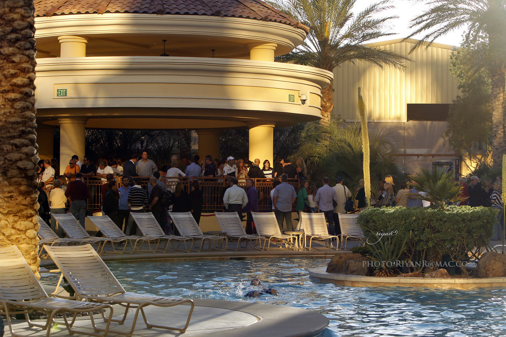 2013 Arabian Breeders World Cup Candid Shots