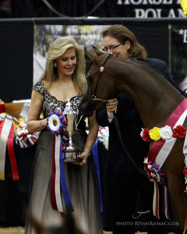 2013 Arabian Breeders World Cup Candid Shots