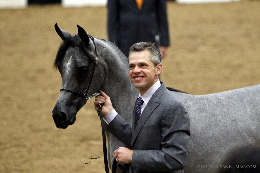 2013 Arabian Breeders World Cup Candid Shots