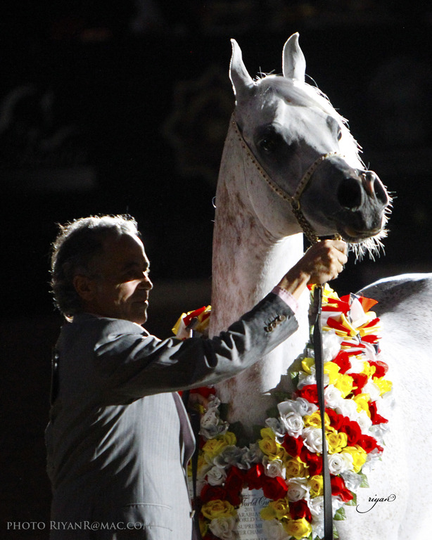 2013 Arabian Breeders World Cup Candid Shots