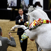 2013 Arabian Breeders World Cup Candid Shots