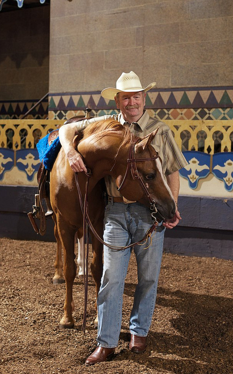 Mark Miller at Arabian Nights with the chestnut stallion Al-Marah Sandpiper (a son of Al-Marah Quebec). Sandpiper is one of 7 stallions currently in the show!
Three more stallions will arrive from Al-Marah to join the cast this fall.... Photo credit:  Patricia Szilagyi