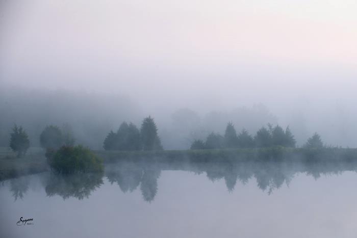Misty Valley Arabians