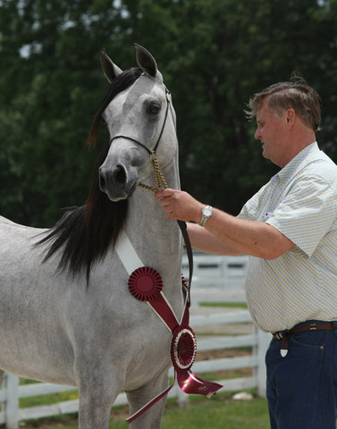 Sybella - EBC Filly Winner