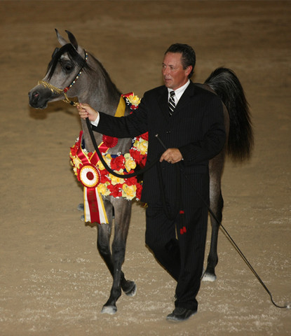 Nadira KA - Reserve Jr Filly