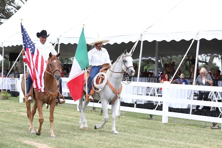 2013 Egyptian Breeders Classic