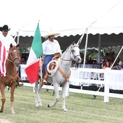 2013 Egyptian Breeders Classic