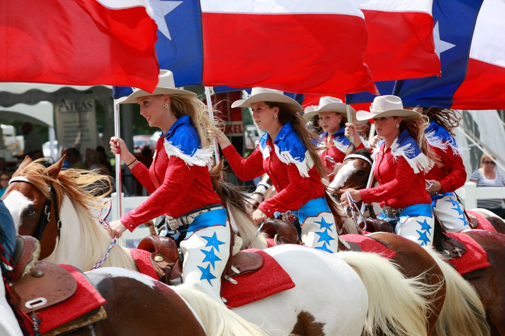 2013 Egyptian Breeders Classic