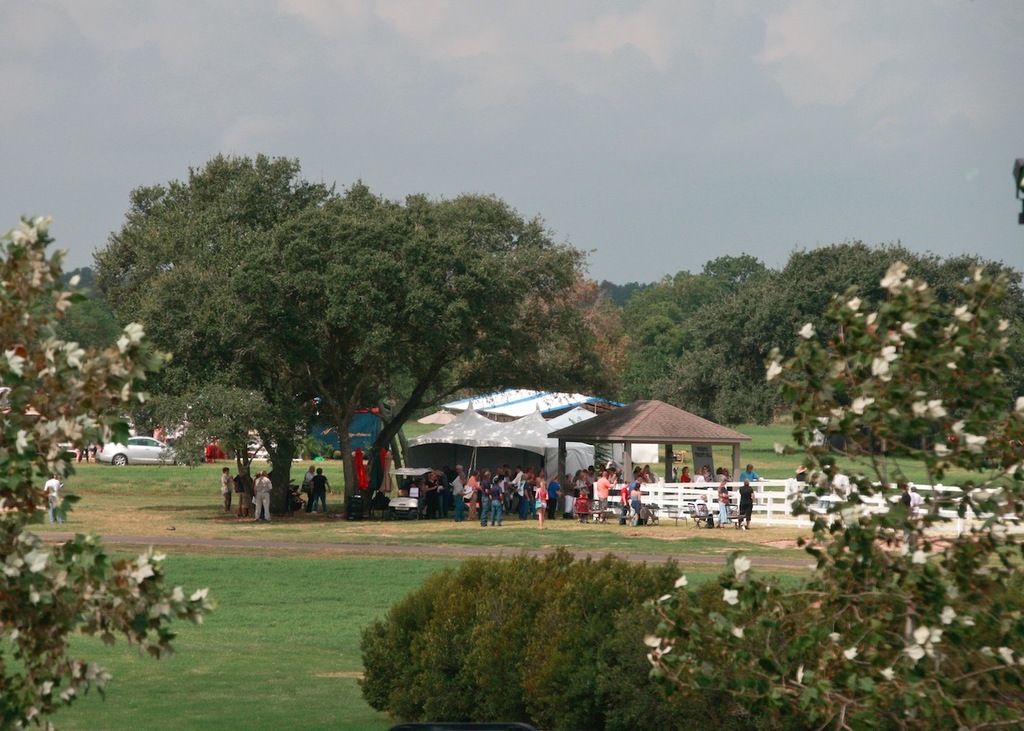 2013 Egyptian Breeders Classic