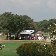 2013 Egyptian Breeders Classic