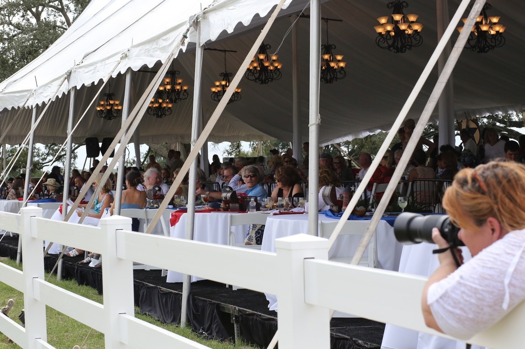 2013 Egyptian Breeders Classic