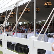 2013 Egyptian Breeders Classic