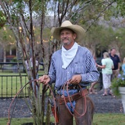 2013 Egyptian Breeders Classic