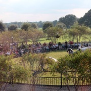 2013 Egyptian Breeders Classic