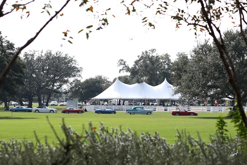 2013 Egyptian Breeders Classic