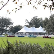 2013 Egyptian Breeders Classic