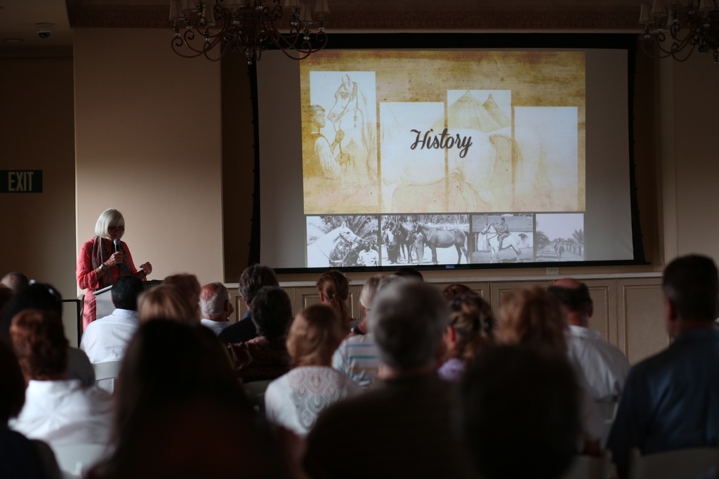 2013 Egyptian Breeders Classic