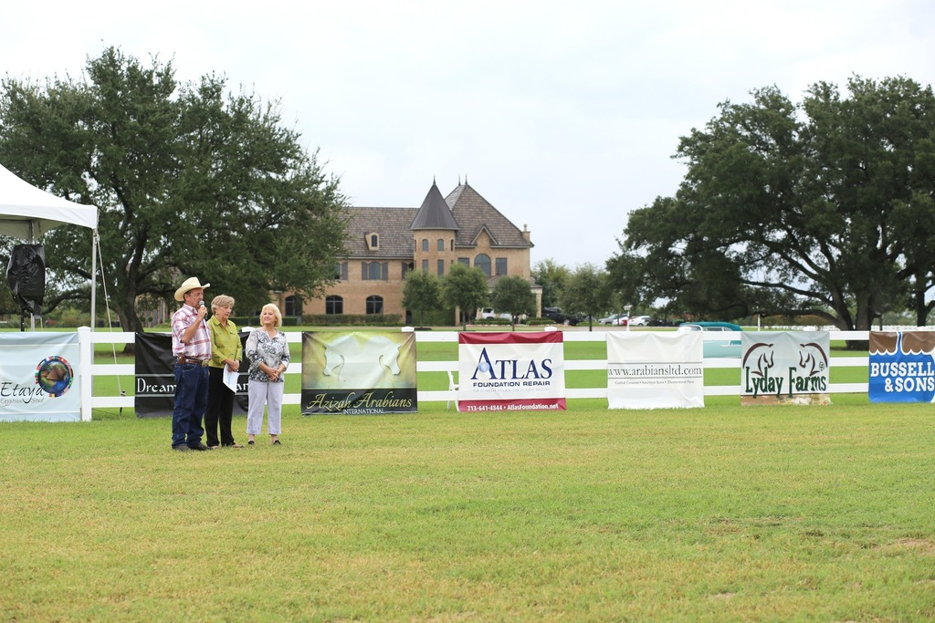 2013 Egyptian Breeders Classic